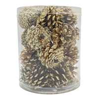 20-Count Gold Glitter Pinecones, 60mm