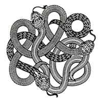 Spellbound Snake Vinyl Placemat, 15"