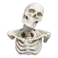 Wall Hanging Resin Skull, 14.4"