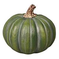 Green Pumpkin, 5"
