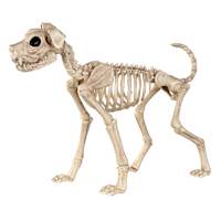 Buster Bonez