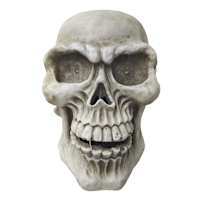 Giant Skull with Multicolor LED Eyes, 25"