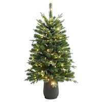(A35) Pre-Lit Alberta Spruce Christmas Porch Tree, 4'