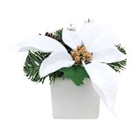 White Poinsettia Arrangement in Ceramic Pot, 6"