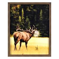 Glass Framed Landscape with Moose Print Wall Art, 24x30