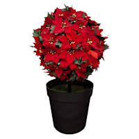 Red Poinsettia Topiary Arrangement in Pot, 24"
