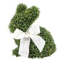 Boxwood Bunny, 8.25"