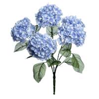 5-Head Blue Hydrangea Bush, 18"