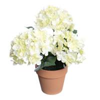 Hydrangea Arrangement in Terracotta Ceramic Pot, 12"