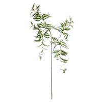 Hanging Wandering Jew Spray, 40"