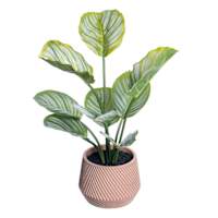 Pink Stripes & Bunnies Printed Microplush Throw Blanket, 50x60