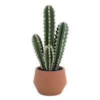 Cactus Arrangement in Terracotta Ceramic Pot, 17"