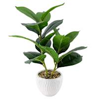 Fig Tree in Ceramic Pot, 18.5"