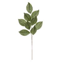 Green Magnolia Leaf Spray, 27"