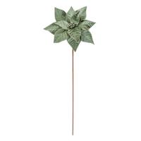 Green Poinsettia Stem, 24"