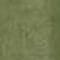 Green swatch