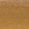 Gold swatch