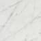 White swatch