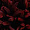 Red swatch