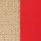 Coral swatch