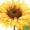 Yellow swatch