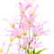 Pink swatch