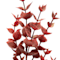 Red swatch