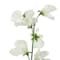 White swatch