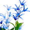 Blue swatch