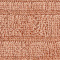 Coral swatch