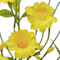 Yellow swatch