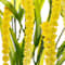 Yellow swatch
