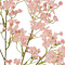 Pink swatch