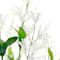 White swatch