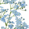 Blue swatch