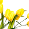 Yellow swatch
