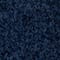 Blue swatch