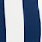 Navy swatch