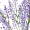 Purple swatch