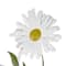 White swatch