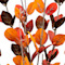 Brown swatch