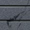 Charcoal swatch