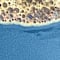 Blue swatch