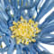 Blue swatch