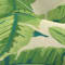 Green swatch