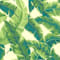 Green swatch