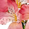 Pink swatch
