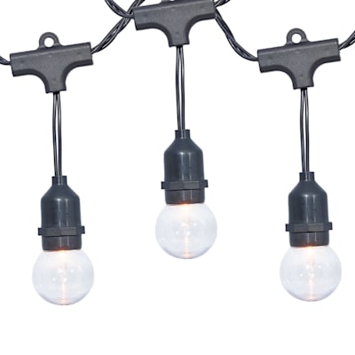30-Count Clear G40 Globe String Lights with Black Commercial Wire