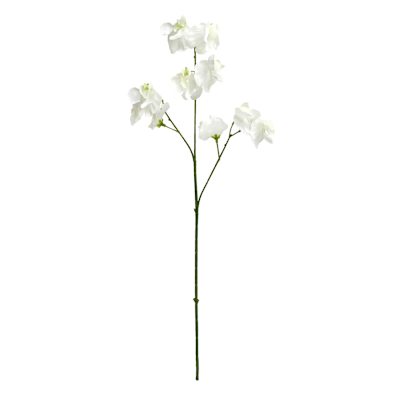 Willow Crossley White Real Feel Pea Flower Spray, 23.6