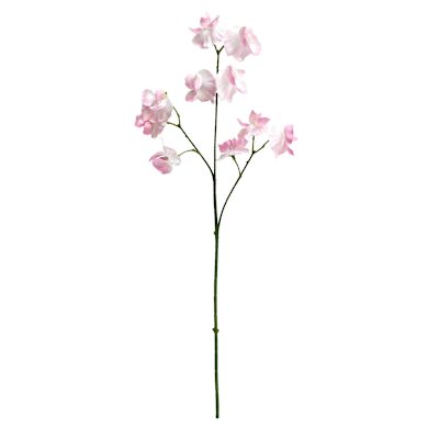 Willow Crossley Pink Real Feel Pea Flower Spray, 23.6